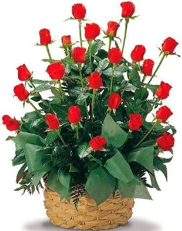 Cesta amor y pasion