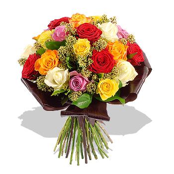 Multitud de rosas