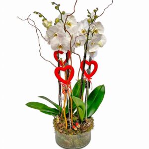 Orquideas en cristal